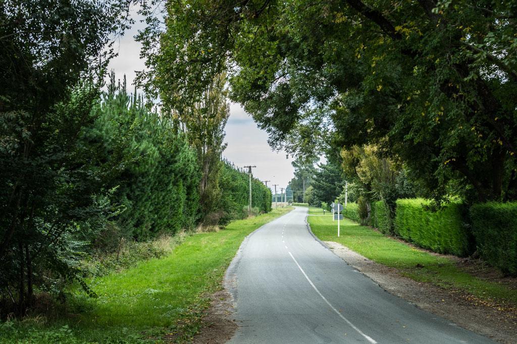 Mount Thomas Road B&B รางีโอรา ภายนอก รูปภาพ