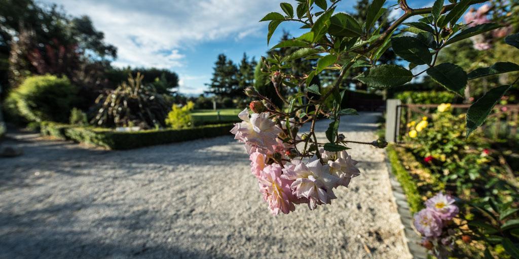 Mount Thomas Road B&B รางีโอรา ภายนอก รูปภาพ